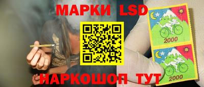 PSILOCYBIN Бугуруслан