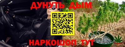PSILOCYBIN Бугуруслан