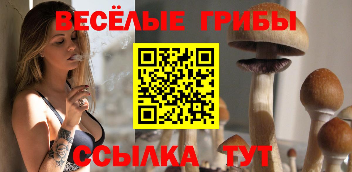 Псилоцибиновые грибы MAGIC MUSHROOMS  Вход с VPN  Наро-Фоминск 