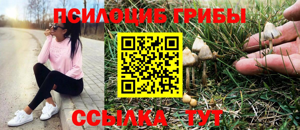 Псилоцибиновые грибы Cubensis Наро-Фоминск